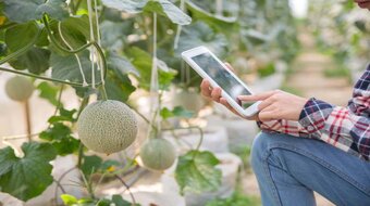 IoT-Based Smart Farming solution