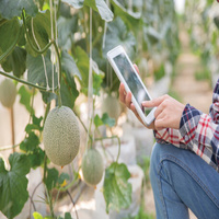 IOT-SMART FARMING