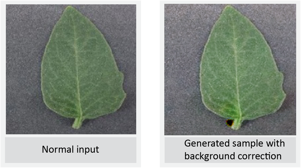 leaf disease diagnosis,RPA